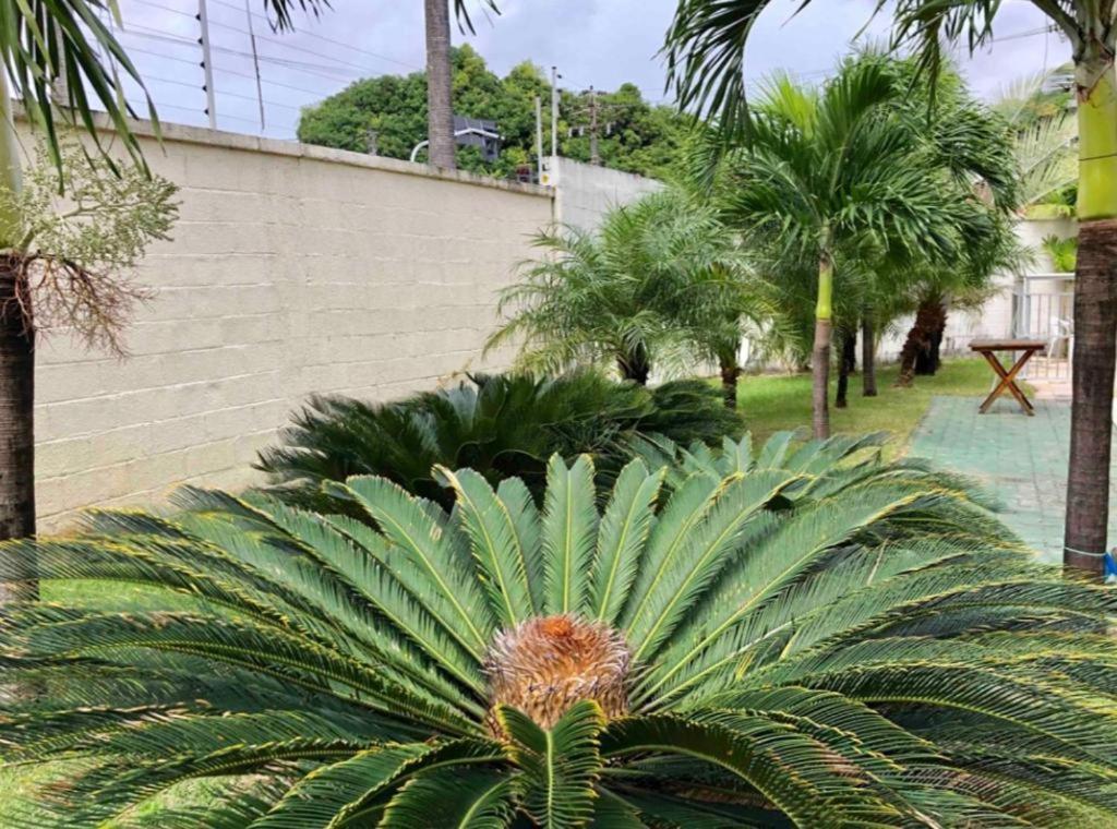 APT2 Piscina Netflix WiFi Ar Cond próx a 2 Shoppigns Fortaleza  Exterior foto
